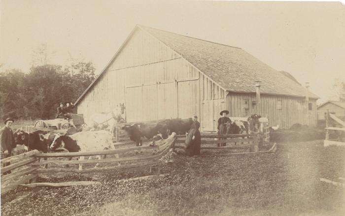 City of Holland Municipal Farmer's Market photo 12