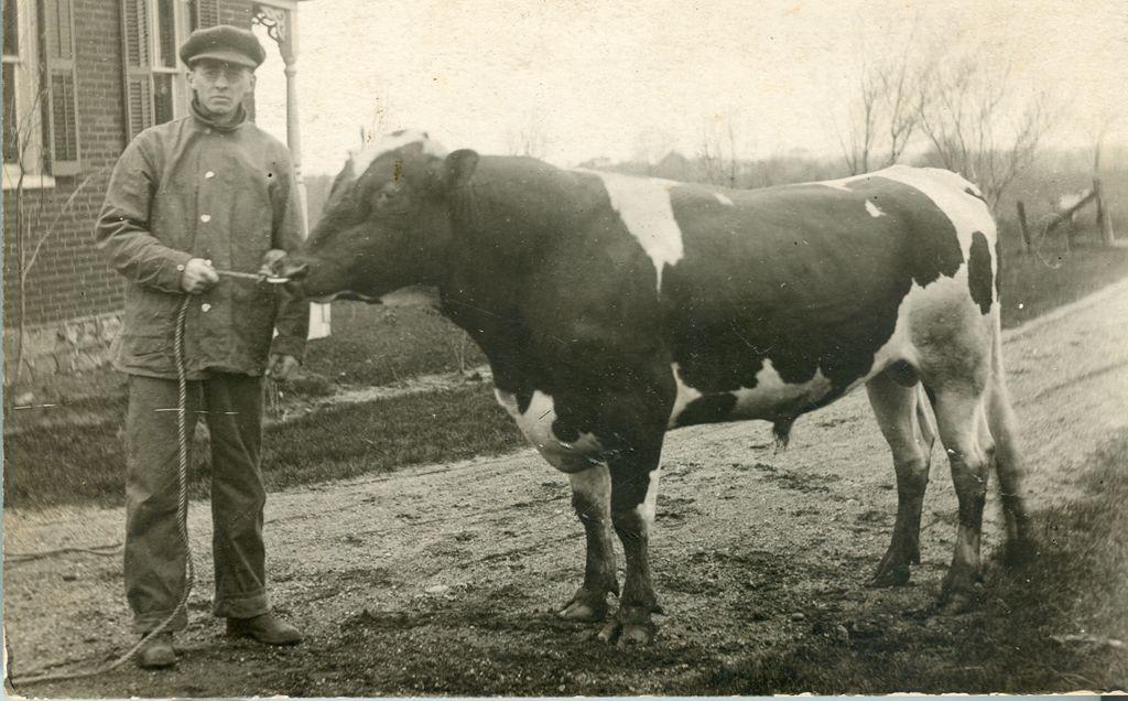 City of Holland Municipal Farmer's Market photo 3