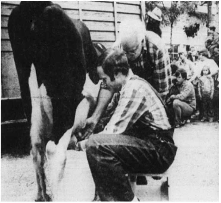 City of Holland Municipal Farmer's Market photo 13